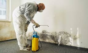 Best Mold Prevention Services  in Holly Springs, GA