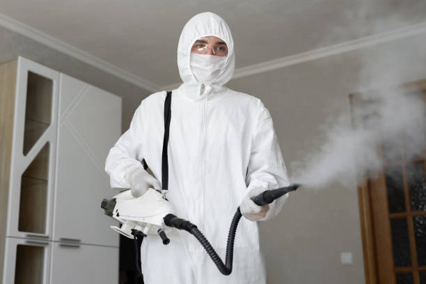 Best Mold Remediation for Vacation Homes  in Holly Springs, GA